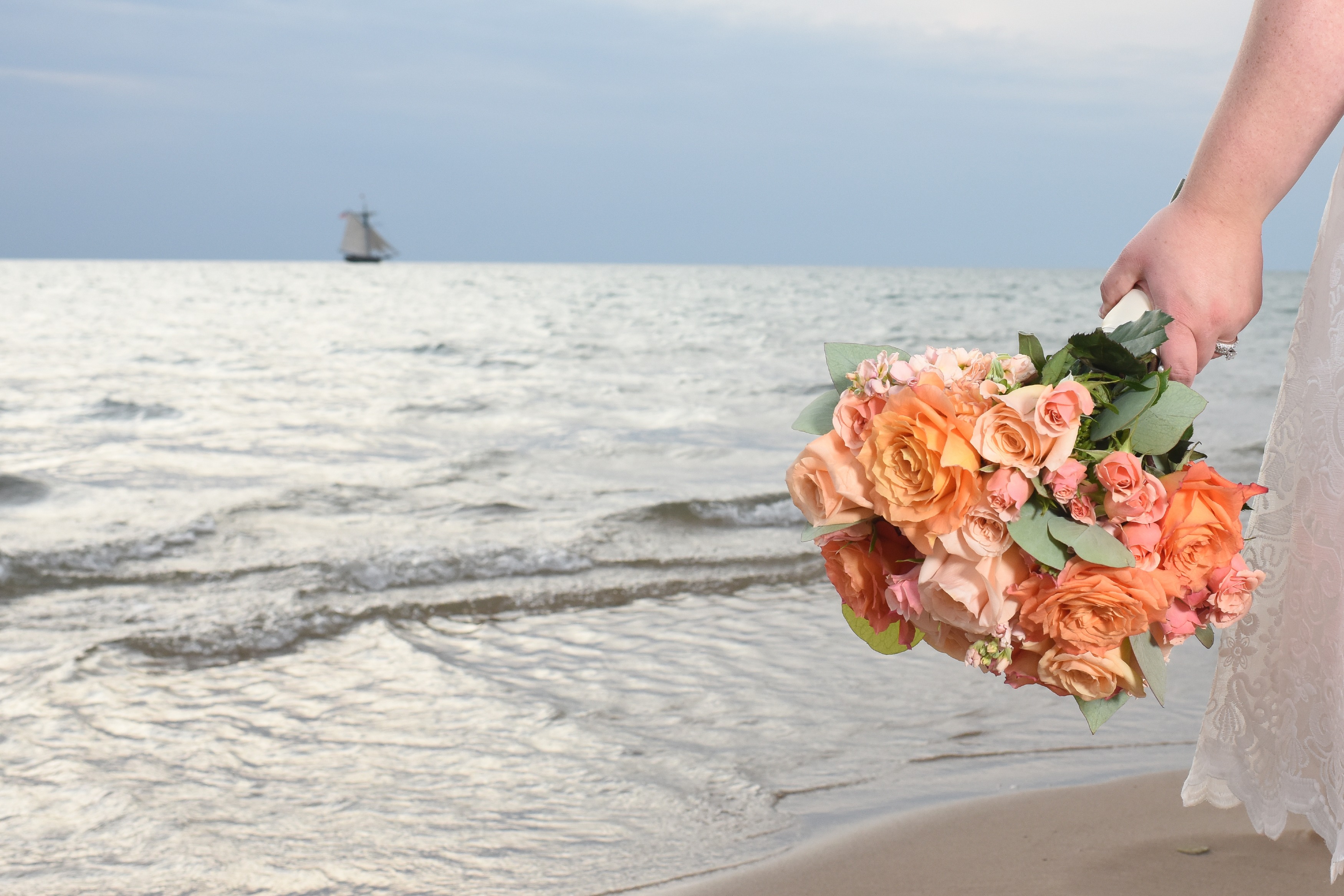 beach wedding in south haven